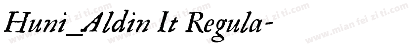 Huni_Aldin It Regula字体转换